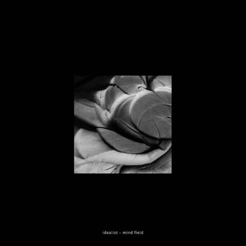 echocord079 Mind Field